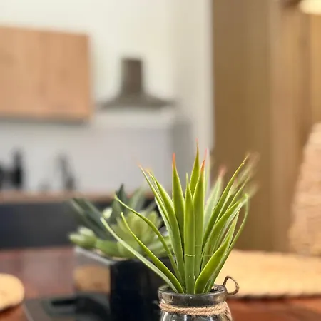 Apartmán U Andy *